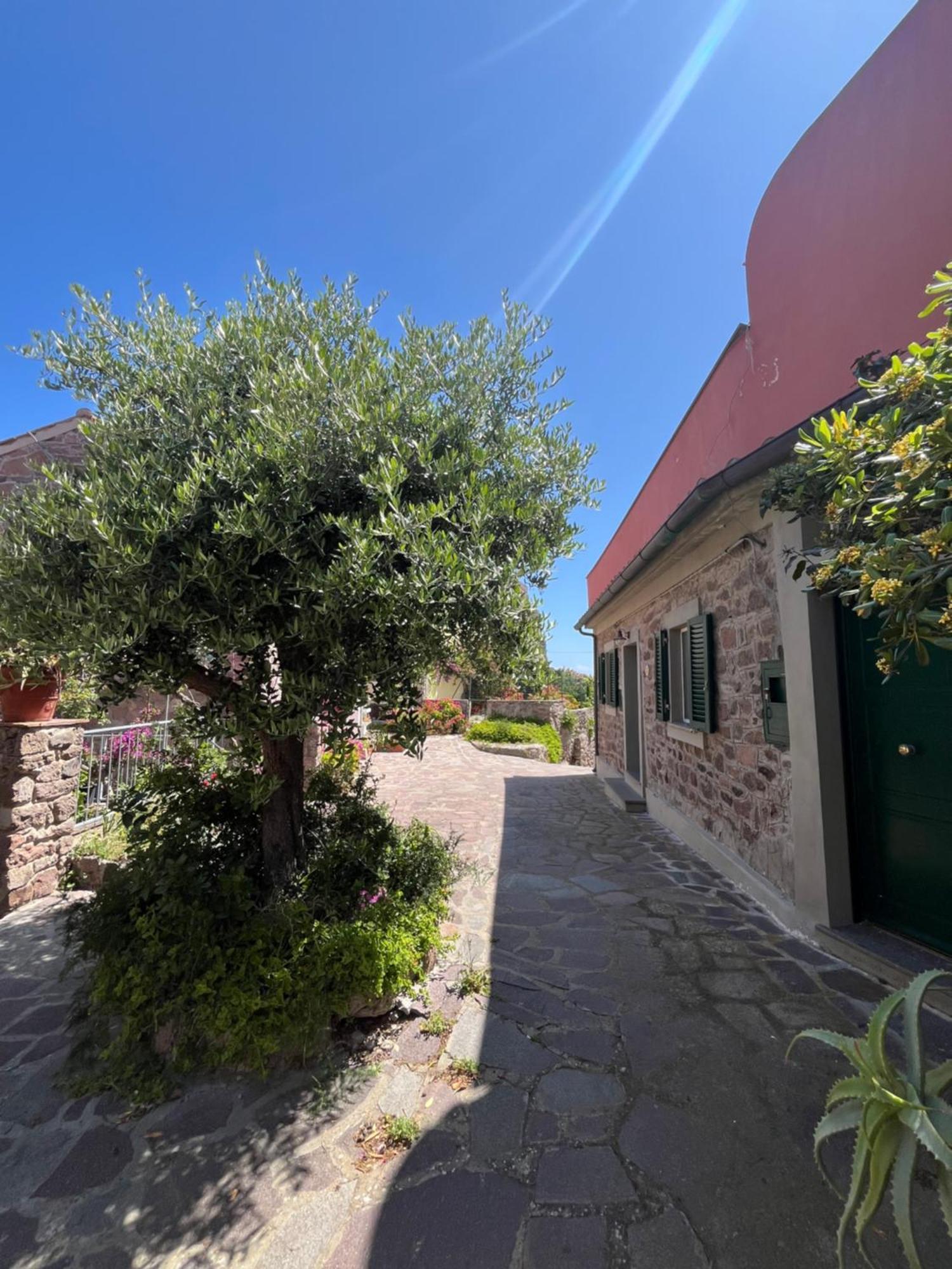 Willa Casa Vista Castello Capraia Zewnętrze zdjęcie
